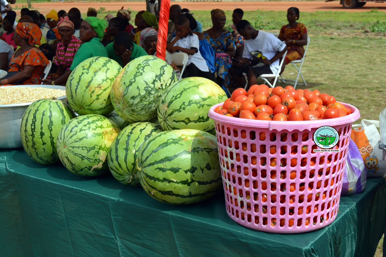 Farmers' Day produce display
